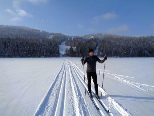 Lake Cottage J�nisvaara