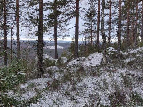 Lake Cottage J�nisvaara