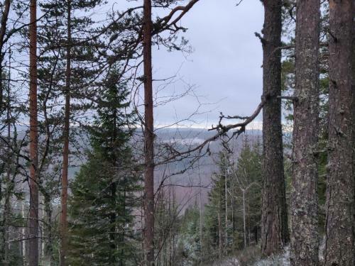Lake Cottage J�nisvaara