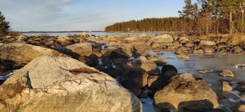 Lake Cottage J�nisvaara
