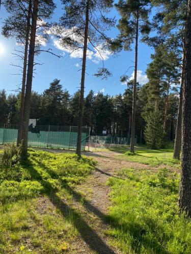 Hotel Lappaj�rvi Chalets 1