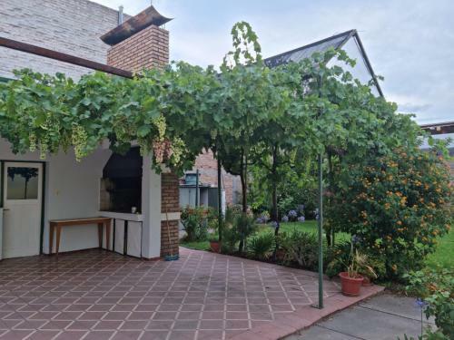 Casa Norvi
