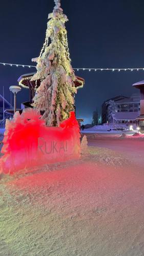 Apartamento Ruka Chalets1 1308