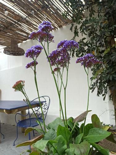 Hostal Villa Nortada
