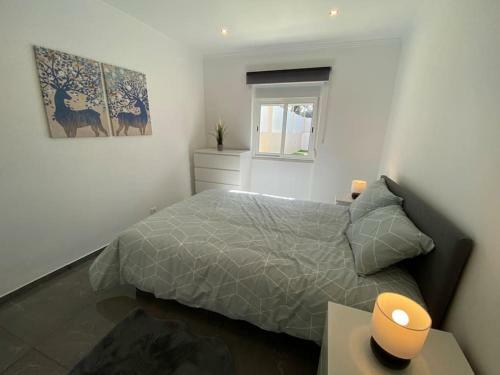 Cozy Surf House