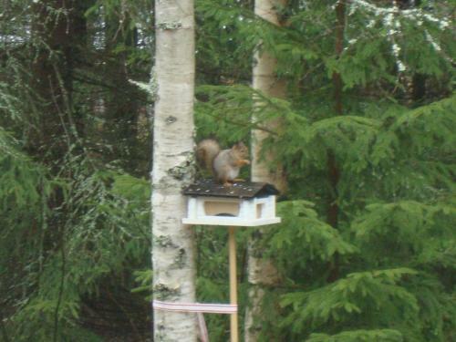 Etel�ranta Cottage