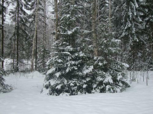 Etel�ranta Cottage