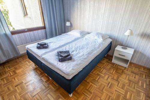 Mikkeli Center Apartment