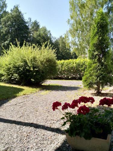 Apartment Mikkeliss�, Silvasti
