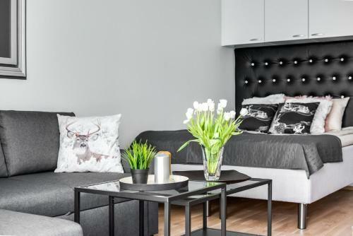 Trendy Homes Oulu Deluxe Apartments