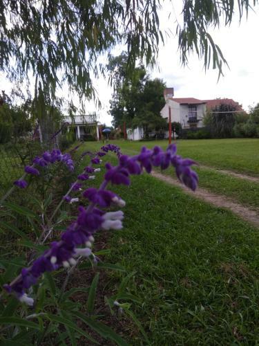 Apartamento La Dulce Morada