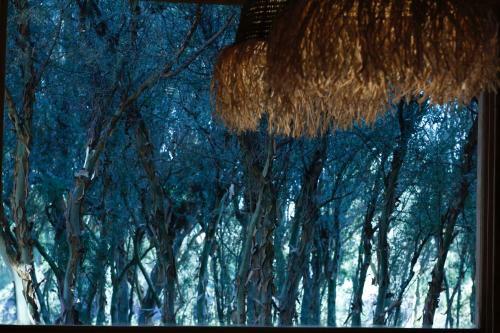 Bed & Breakfast Posada Reba�os