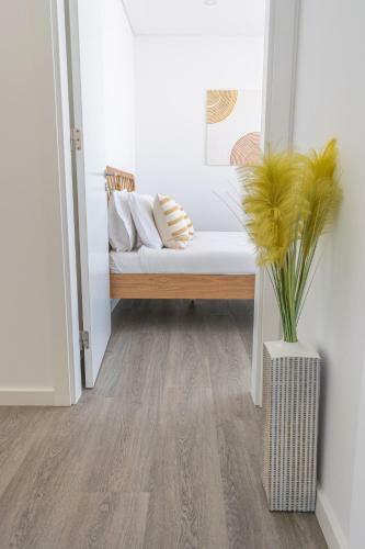 Apartamento Areia Da Consola��o