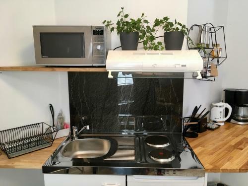 Apartment With Garden And Teracce