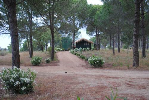Lodge Ying Yang Monte Da Lua