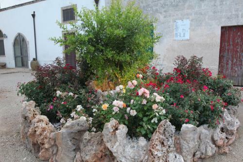 Agroturismo Masseria La Duchessa