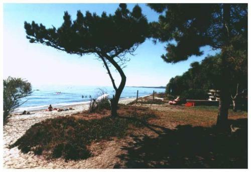 Apartamento Domaine De L'avidanella