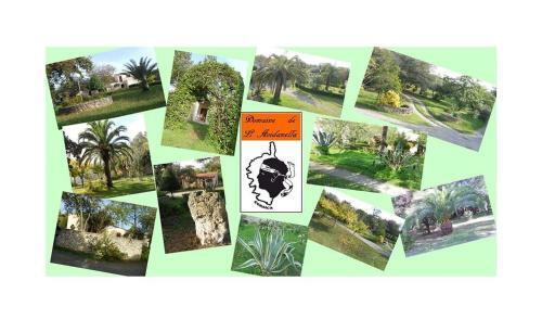 Apartamento Domaine De L'avidanella