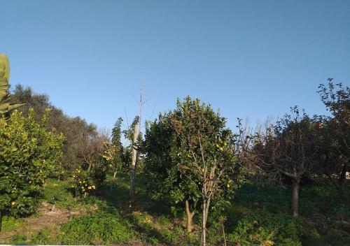 Greenside Of Sea Hostel