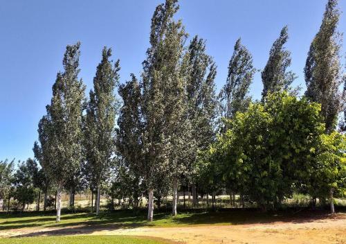 Greenside Of Sea Hostel
