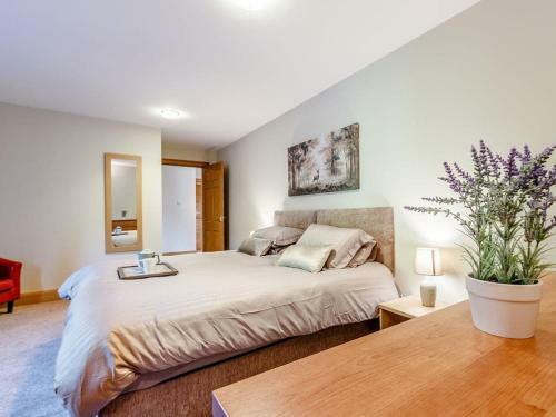 Birdie Cottage - Uk31564
