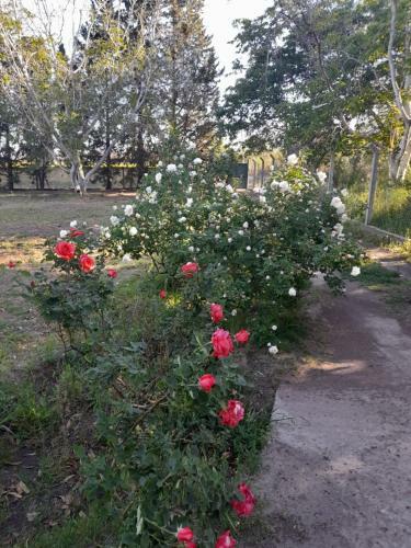La Casa De Aminga