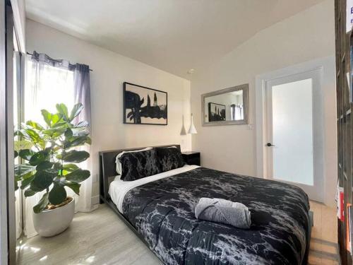 Entire 4-unit Complex With Private Swimming Pool