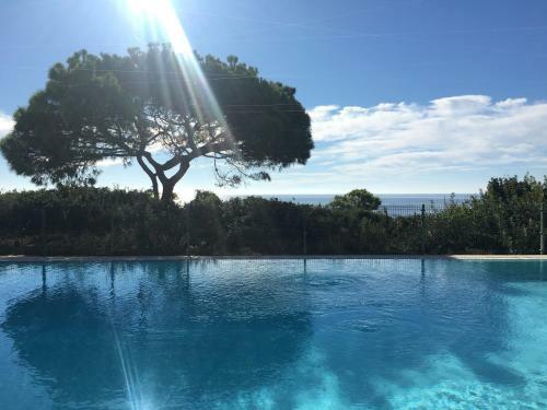 Terra�os De Benagil By Lem�ria