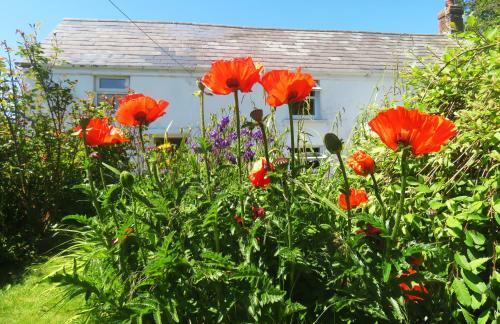 Rose Cottage