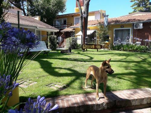 Apartamento Pucar�