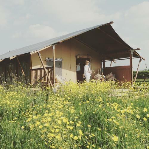 Lodge Tall Trees Glamping