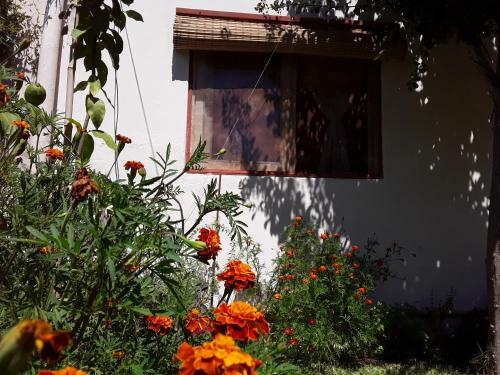 Apartamento Casita Anatole