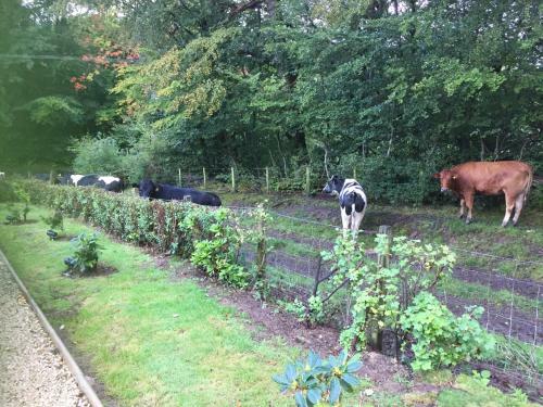 Bed & Breakfast Retreat At The Knowe Auchincruive Estate