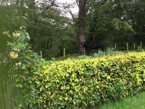 Bed & Breakfast Retreat At The Knowe Auchincruive Estate