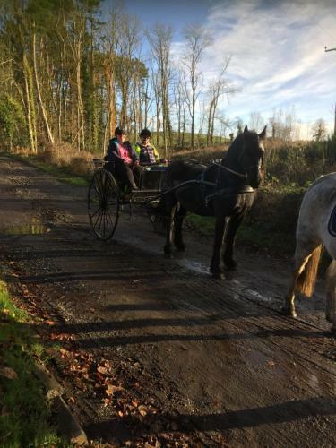 Bed & Breakfast Retreat At The Knowe Auchincruive Estate