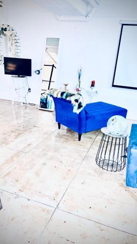 Apartamento Modern Elite Open Style Loft With Rooftop Pool & Jacuzzi