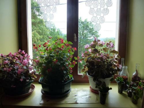 Bed & Breakfast Le Rocher Des Ducs
