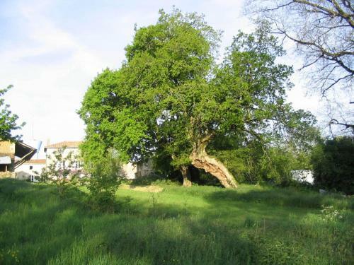 Bed & Breakfast Le Mouillage Vert