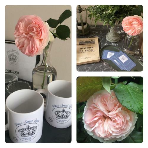 Bed & Breakfast Au 16 Place Saint Louis