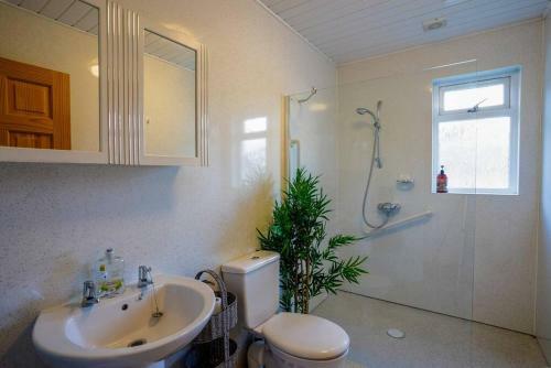 Wee Blondie's Ski Cottage