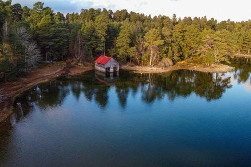 Wee Blondie's Ski Cottage
