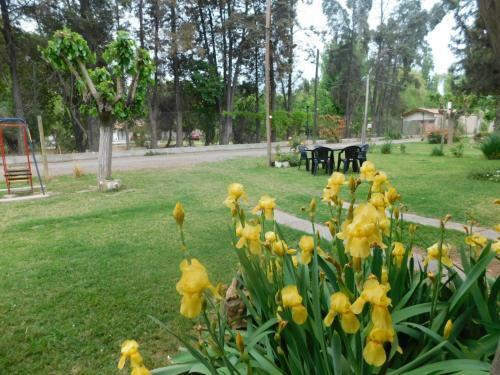 Apartamento Mendoza Caba�a Lim�n