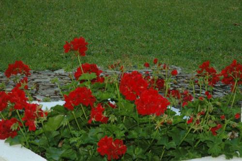 Apartamento Hortensia