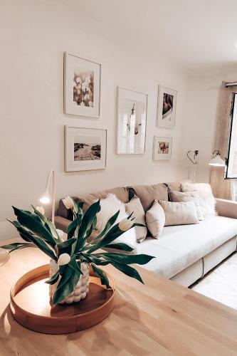Apartamento New! Nomad Dreams N.3