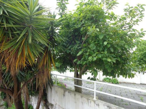 Apartamento Sol Nascente
