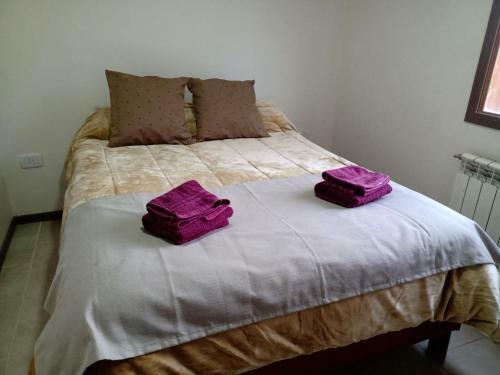 Apartamento Calido