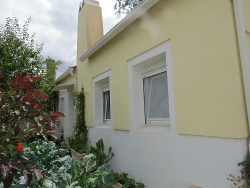 Casa Da Figueira (fig Tree House)