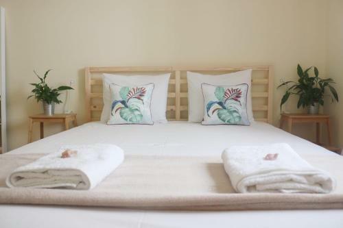Bed & Breakfast Green Element Guesthouse