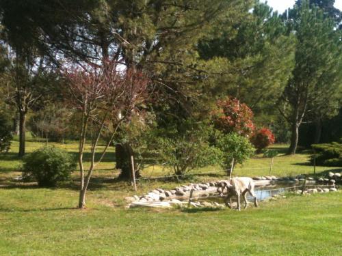 Bed & Breakfast Le Mas D'herm�s