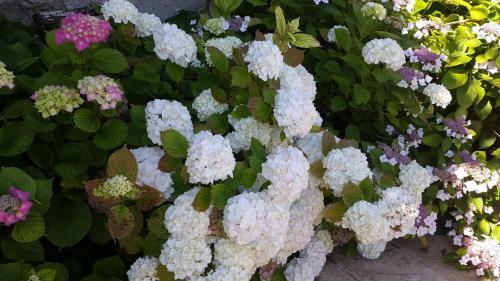 Bed & Breakfast Ch�teau Richelieu